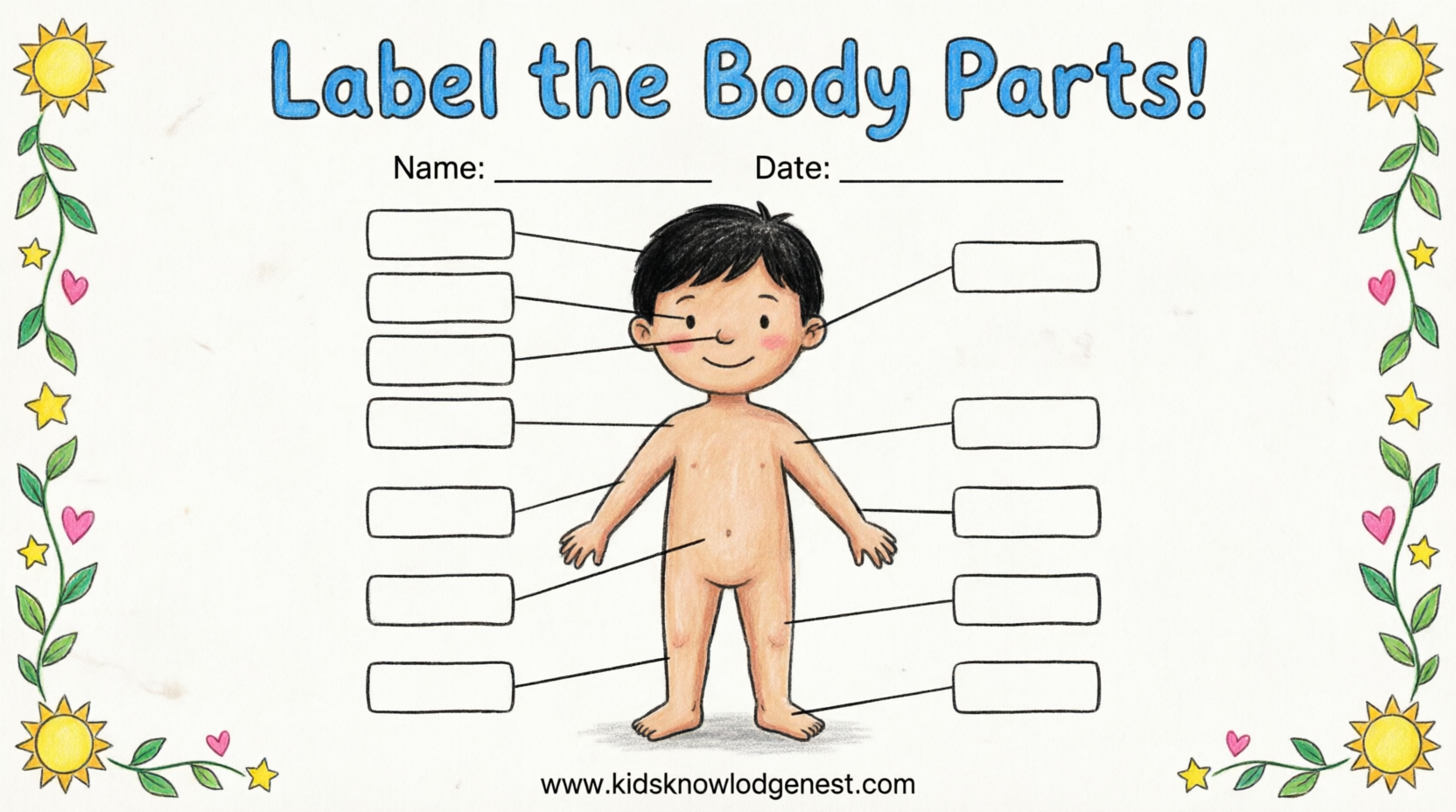 Label the Body Parts Worksheet - Dual Language English Hindi - Kids Knowledge Nest